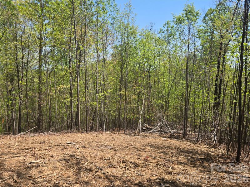 Lot 32 High Rock Rg, Lake Lure, NC 28746