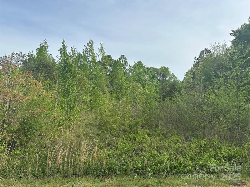 140 Four Andrews Dr, Harmony, NC 28634