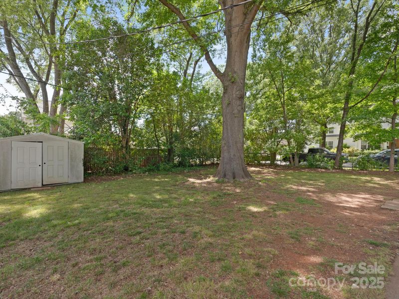 1100 Clawson Ct, Charlotte, NC 28209