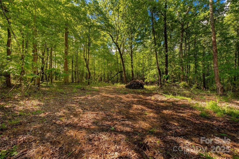 5212 Star Magnolia Ct, Clover, SC 29710
