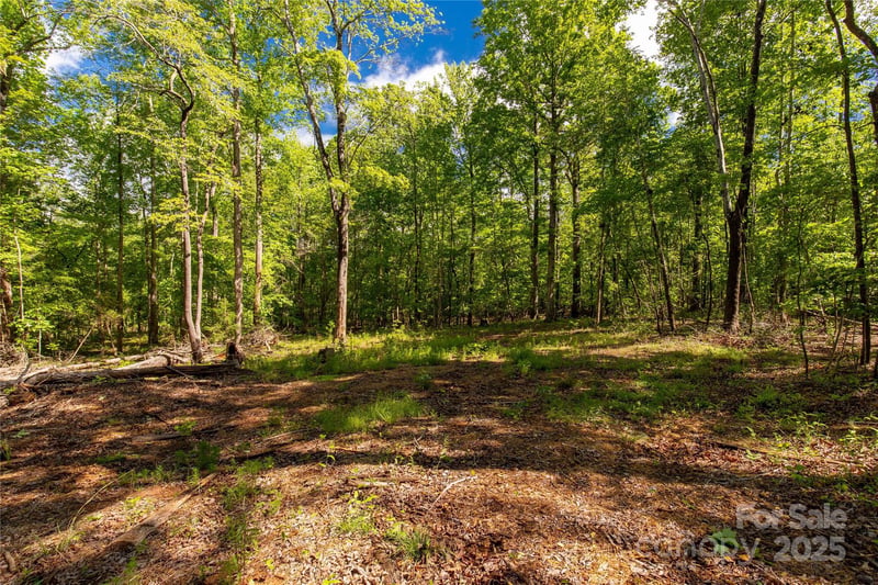 5212 Star Magnolia Ct, Clover, SC 29710