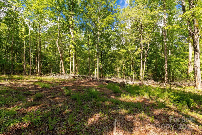 5212 Star Magnolia Ct, Clover, SC 29710
