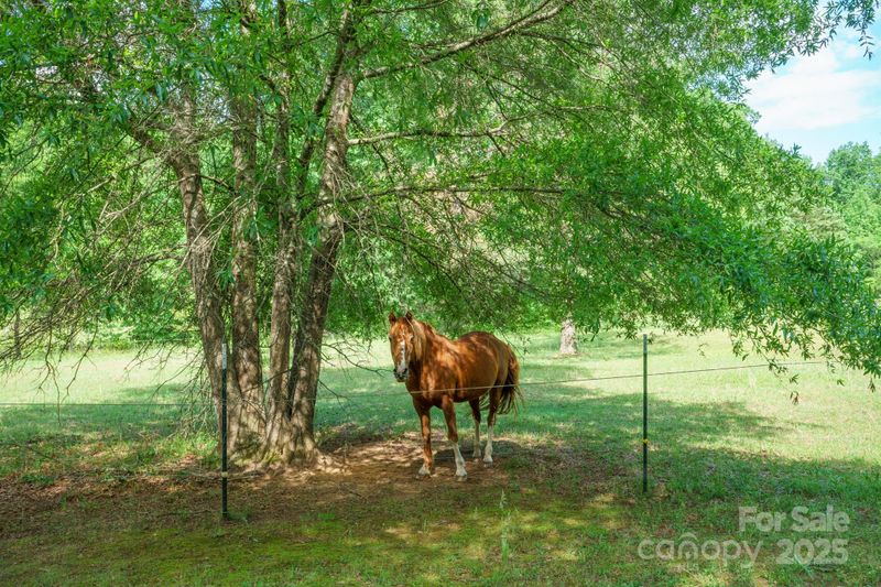 290 Glenmere Ln, Mooresville, NC 28115