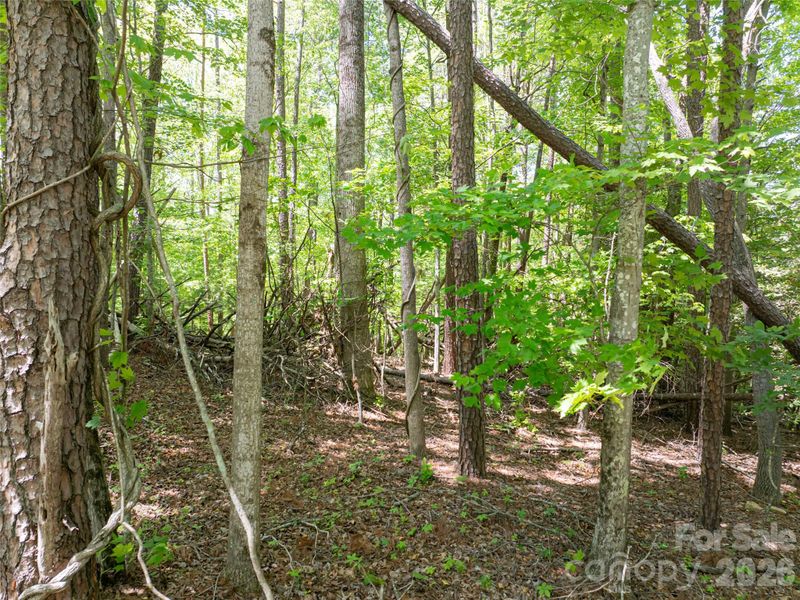 99999 Brevard Rd, Arden, NC 28704
