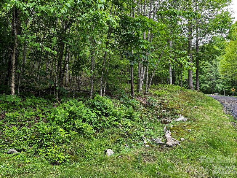 1 Pearl Way, Mars Hill, NC 28754