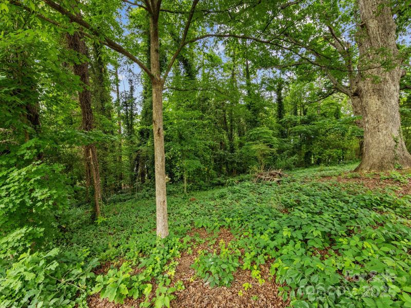 0000 Cresthill Dr, Charlotte, NC 28212