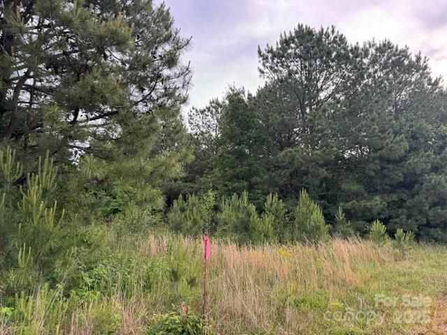 1786 Jones Dr #2, Catawba, NC 28609