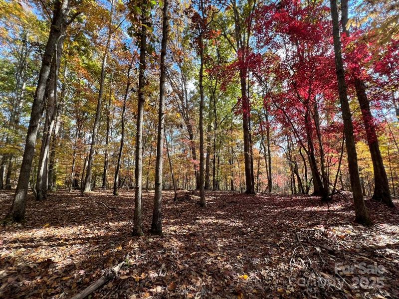 7A Three Lakes Trl, Waxhaw, NC 28173