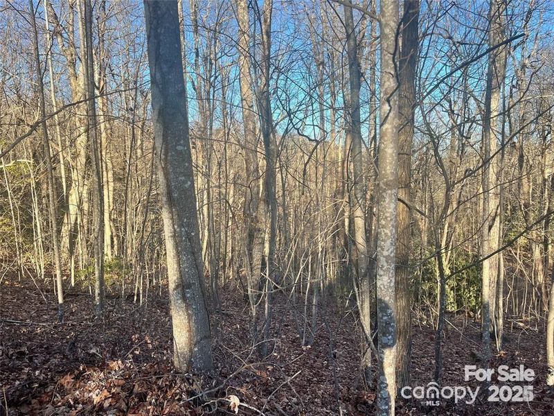 129 Pinnacle Peak Ln, Flat Rock, NC 28731