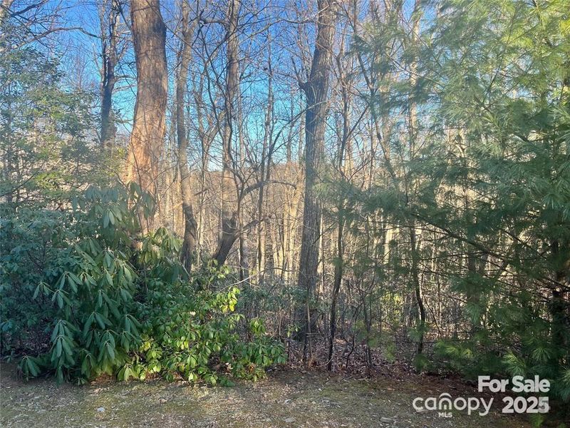 129 Pinnacle Peak Ln, Flat Rock, NC 28731