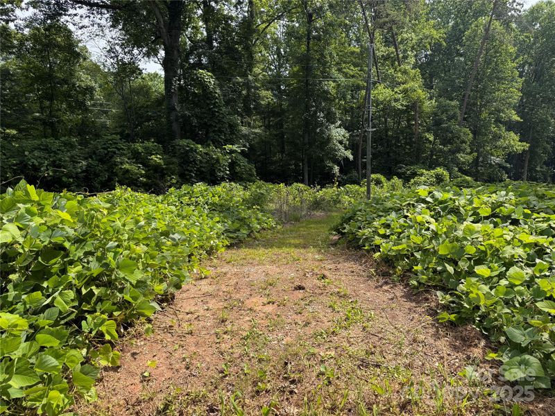 0000 Ranger Rd, Clover, SC 29710