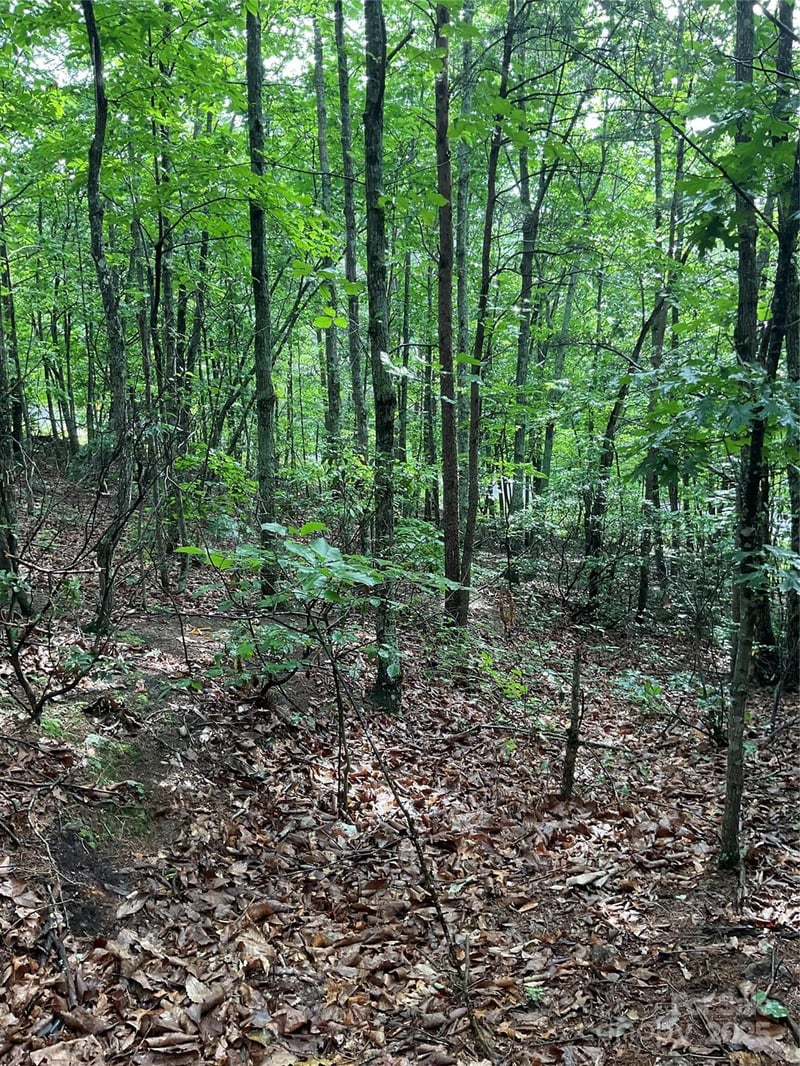 0 Valley View Ct, Hickory, NC 28602
