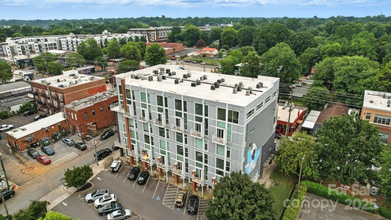 3123 N Davidson St #208, Charlotte, NC 28205