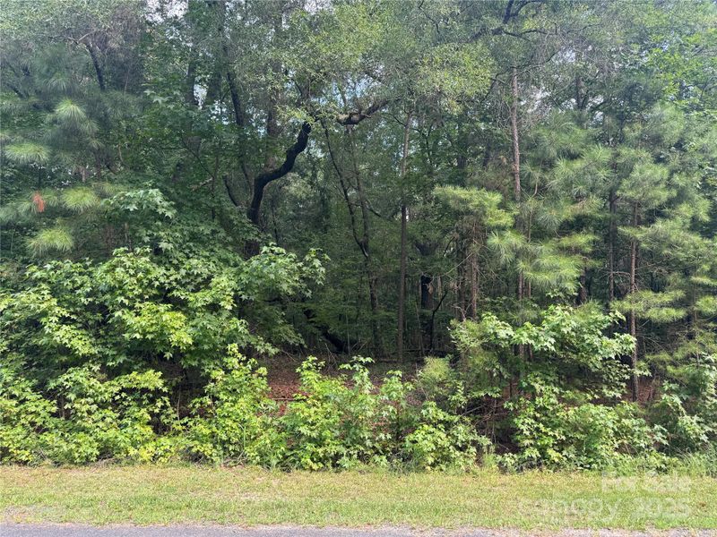 00 Raymond Helms Rd, Waxhaw, NC 28173