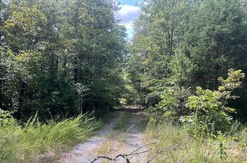 00 Blue Branch Rd #Tract D, Gaffney, SC 29340