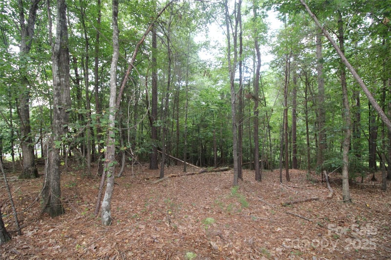 Lot 1 Lake Wylie Dr, Rock Hill, SC 29732