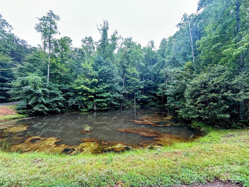 Lot 6 Azalea Way, Saluda, NC 28773