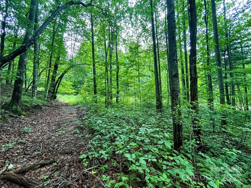 Lot 6 Azalea Way, Saluda, NC 28773