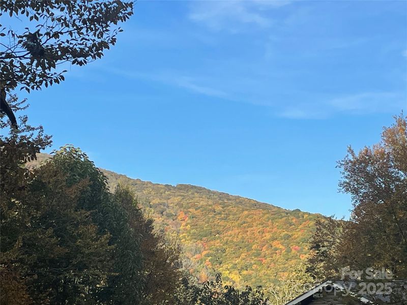 96 Chestnut Ln #96, Mars Hill, NC 28754