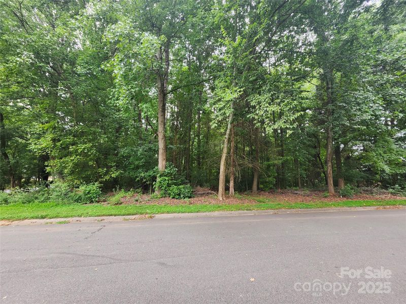 9928 Drawbridge Dr, Charlotte, NC 28215