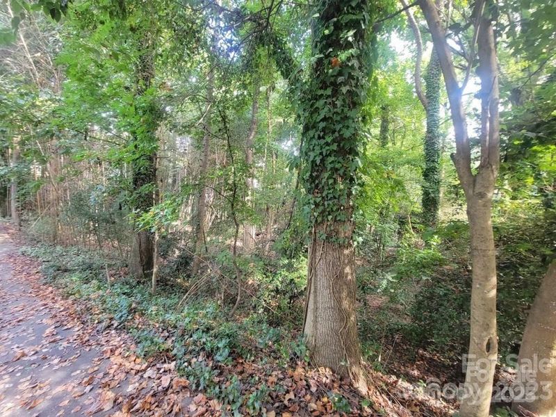 3007 Point Clear Dr, Tega Cay, SC 29708
