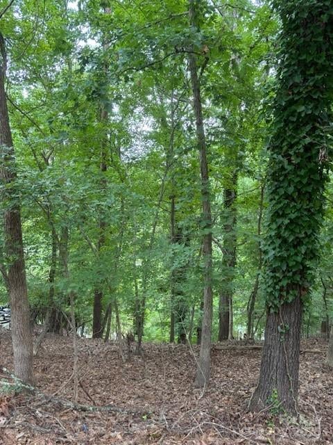 10045 Tepa Pl, Tega Cay, SC 29708