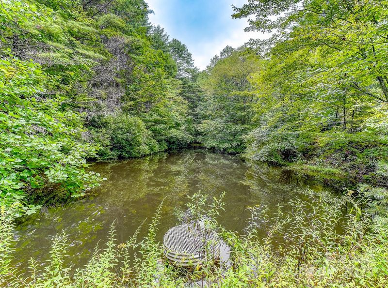 99999 Thunder Rd, Brevard, NC 28712