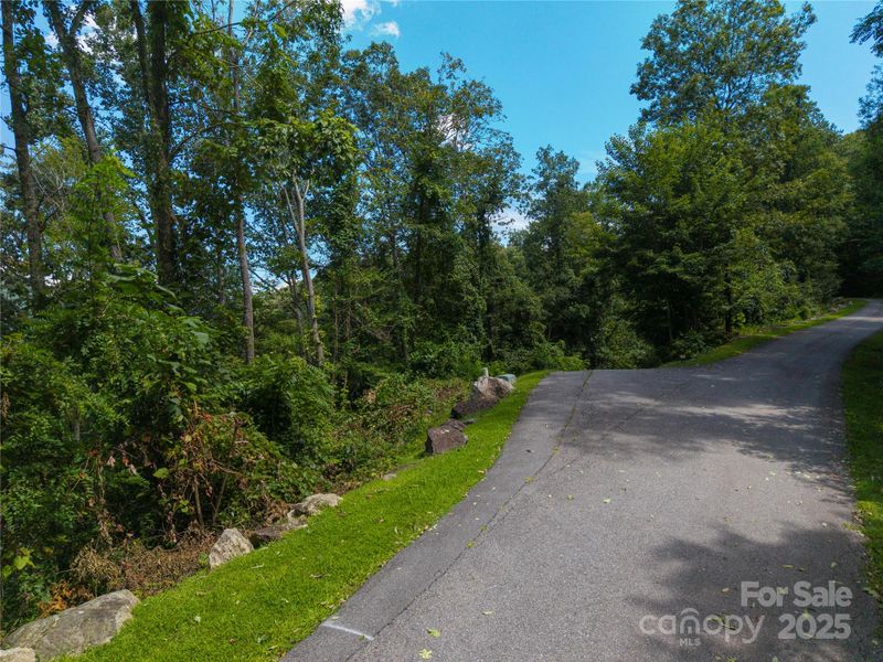 52 Castanea Mountain Dr, Asheville, NC 28803