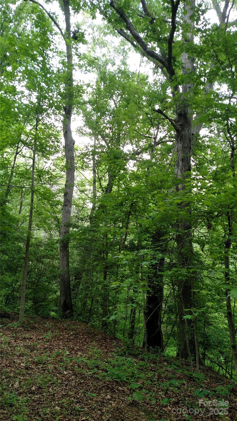 375 Timber Rd, Iron Station, NC 28080