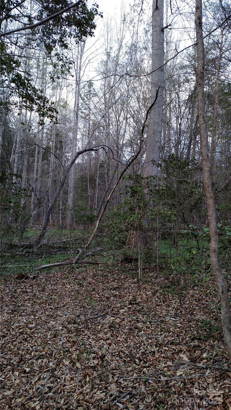 375 Timber Rd, Iron Station, NC 28080