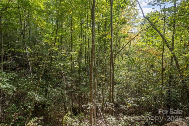 TBD Pine Mountain Trl #M79, Brevard, NC 28712