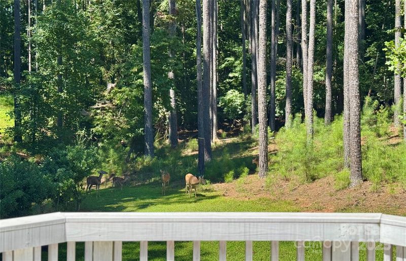 220 Kenway Loop, Mooresville, NC 28117