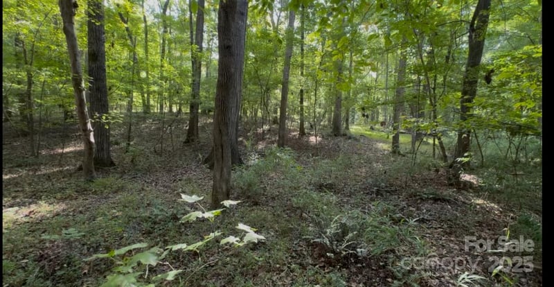 1402 Bloomsberry Ln, Waxhaw, NC 28173