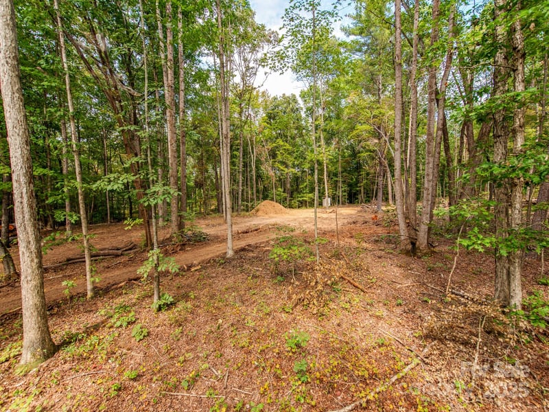481 Eupeptic Springs Rd Lot 5, Olin, NC 28660