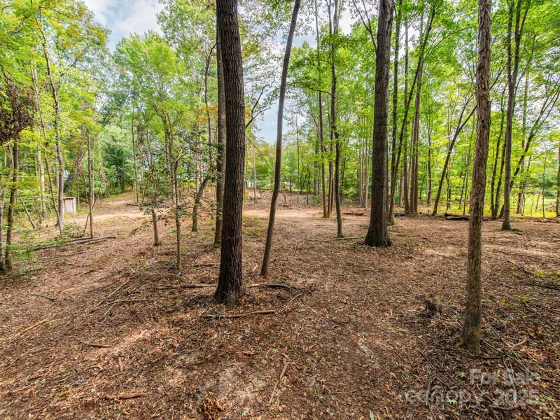 481 Eupeptic Springs Rd Lot 5, Olin, NC 28660