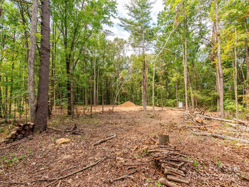 481 Eupeptic Springs Rd Lot 5, Olin, NC 28660
