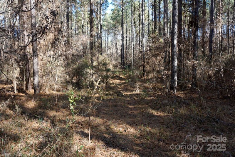 0 Skyline Dr, Chester, SC 29706