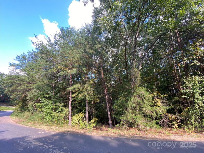 1301 Shadowfax Wynd None #51, Hickory, NC 28602