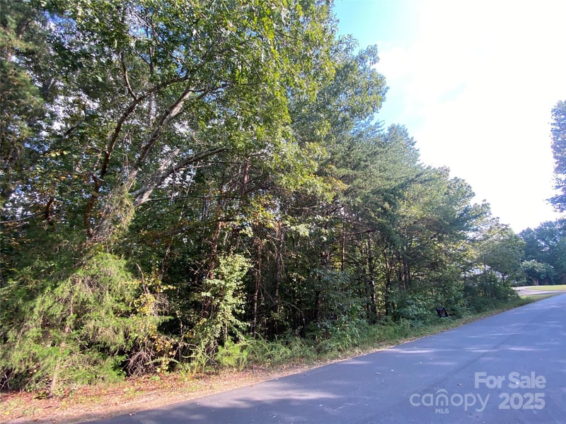 1301 Shadowfax Wynd None #51, Hickory, NC 28602