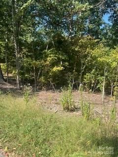 0 Mcgill Rd, Smyrna, SC 29743