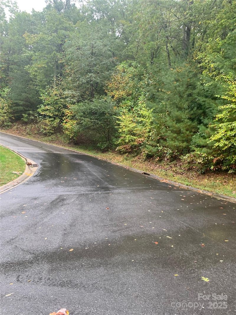 208 Settings Blvd #248, Black Mountain, NC 28711