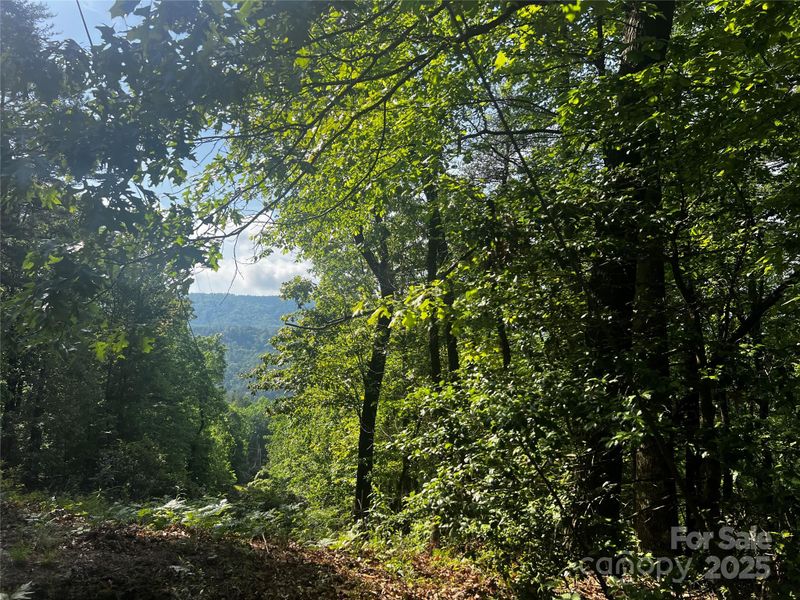 Lot 14R Arrowhead Rg #14 Revised, Brevard, NC 28712