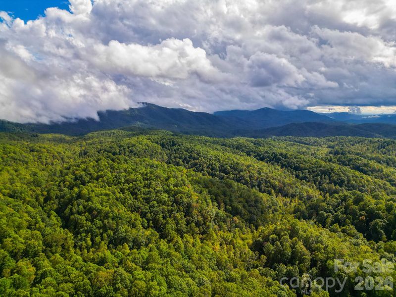 99999 Forest Brook Dr, Black Mountain, NC 28711