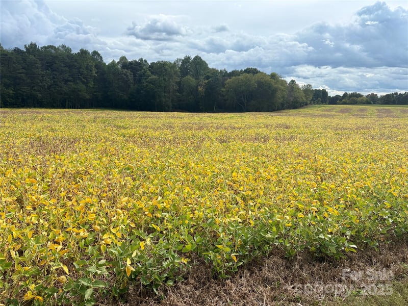 8.5 ac Williamsburg Rd, Olin, NC 28660