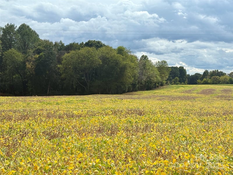8.5 ac Williamsburg Rd, Olin, NC 28660