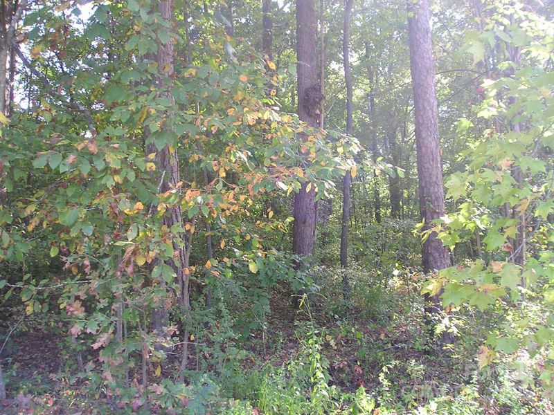 000 Old Monroe Marshville Rd, Wingate, NC 28174