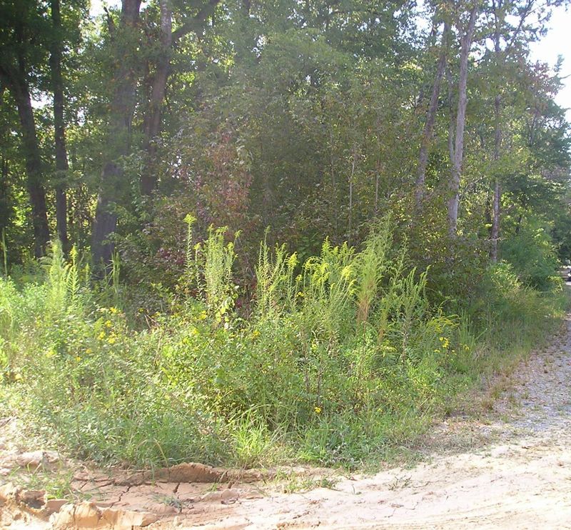 000 Old Monroe Marshville Rd, Wingate, NC 28174
