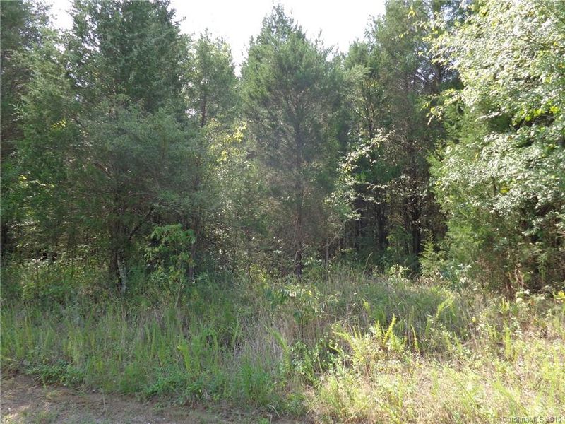 9213 Guildbrook Rd, Davidson, NC 28036