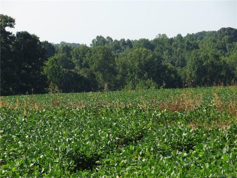 372 Adams Ln, Lincolnton, NC 28092
