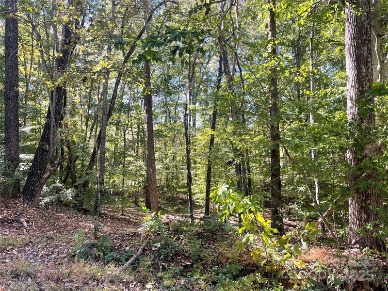 237 Lamplighter Ln, Mount Holly, NC 28120